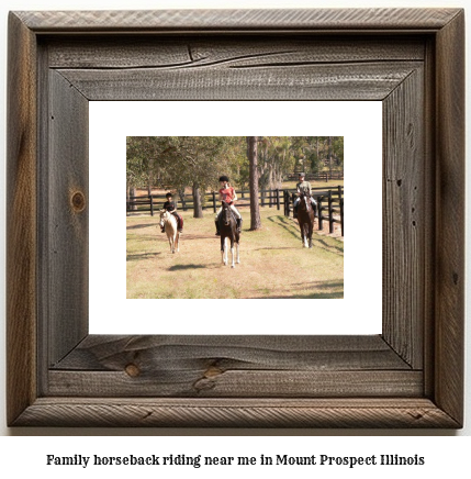 family horseback riding near me in Mount Prospect, Illinois